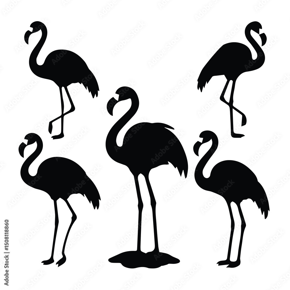 Obraz premium Black and white silhouette of five flamingo birds in various poses. Silhouette of flamingos against a white background.