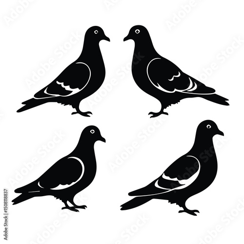Black and white silhouette of pigeons in profile view. Four pigeons in profile view on a plain white background.
