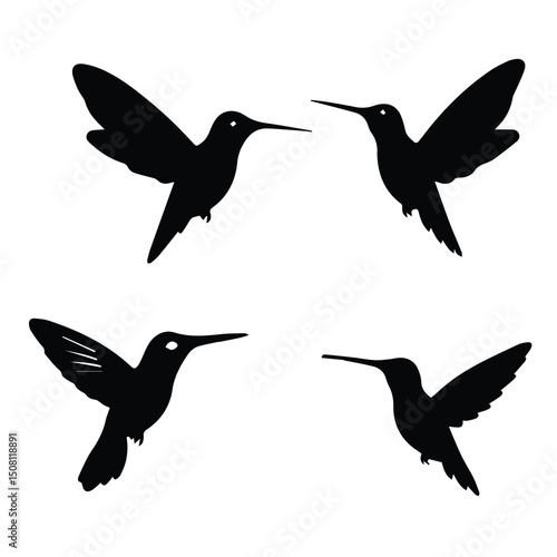 Four hummingbird silhouettes in flight against a white background. Silhouettes of hummingbirds in mid-flight with wings spread showing graceful motion.