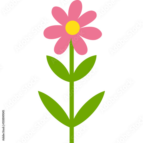 Hand Drawn Flower