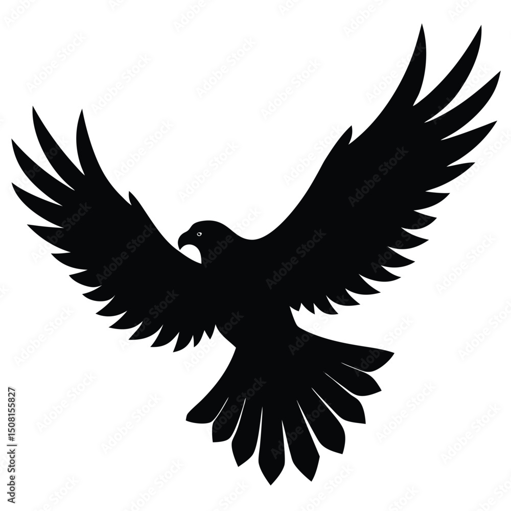 eagle vector illustration eagle vector illustration