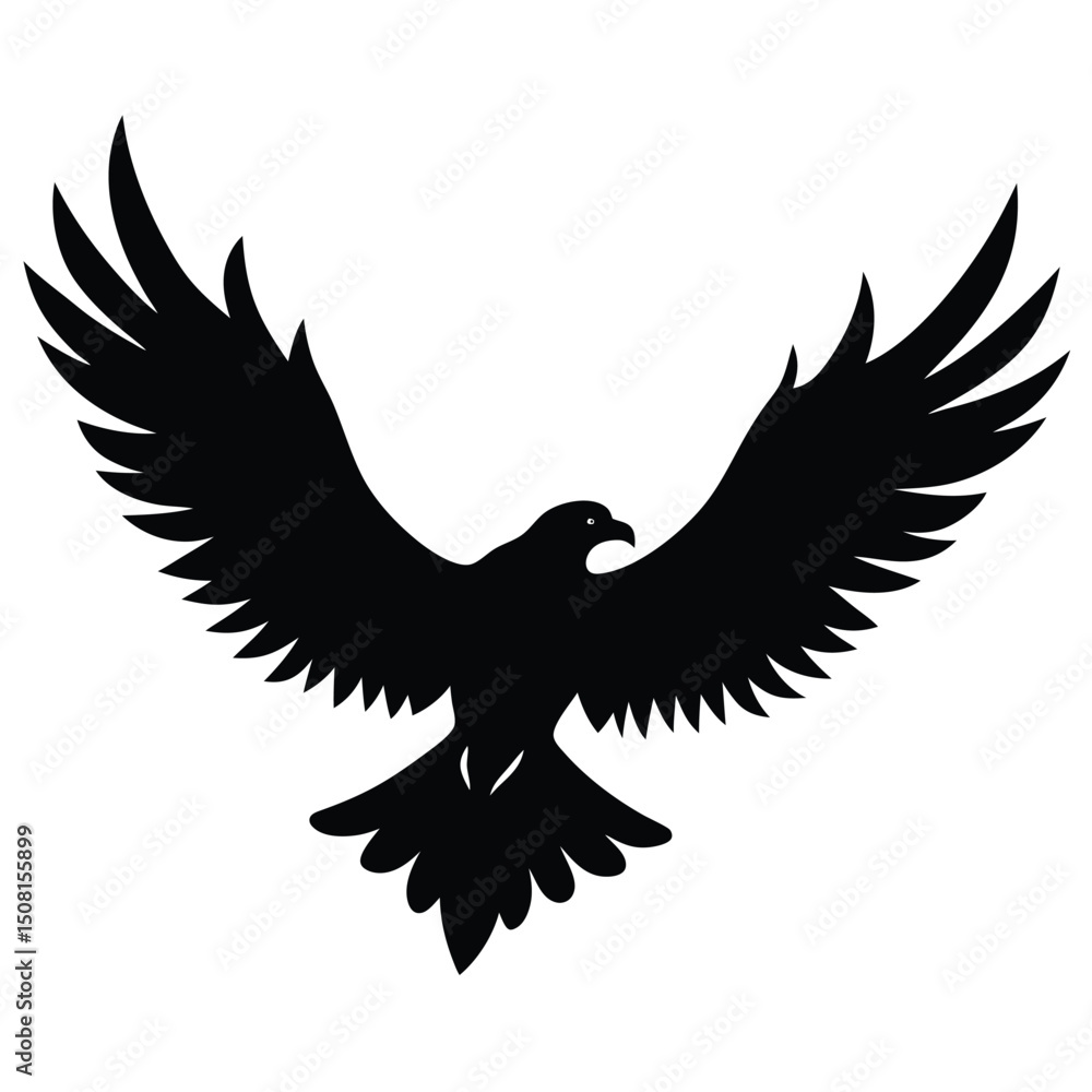 Fototapeta premium eagle in flight