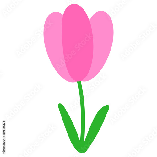 Hand Drawn Flower