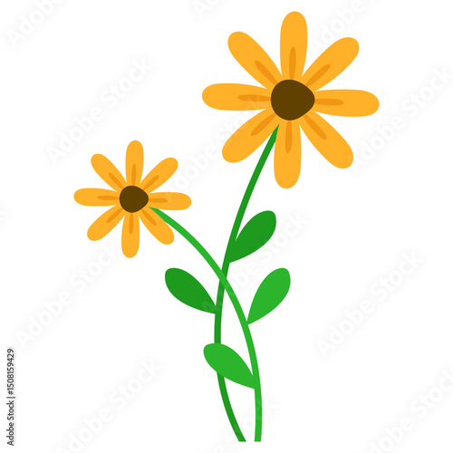 Hand Drawn Flower
