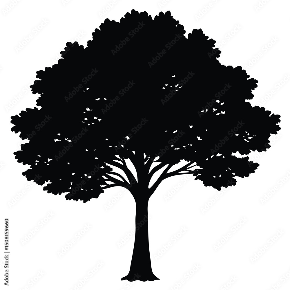 Fototapeta premium silhouette of tree