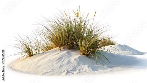 Fototapeta Naklejka Na Ścianę i Meble -  Serene coastal dunes with lush green sea grass growing on white sand with bright daylight.