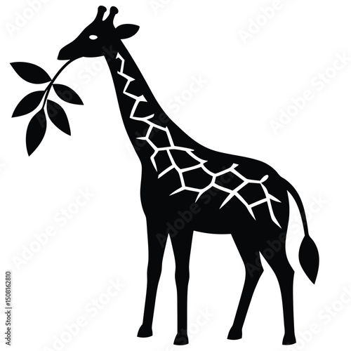 giraffe vector illustration