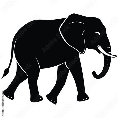 elephant vector illustration