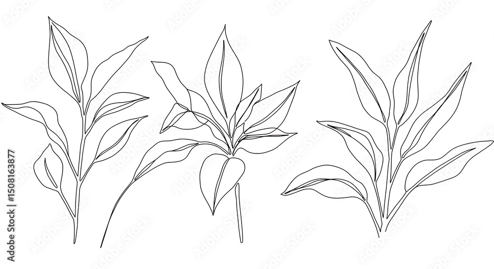 Fototapeta premium Elegant Minimalist Line Art Botanical Prints Three Unique Leaf Designs Perfect for Home Decor or