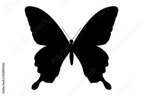 vector realistic silhouette butterfly. Cartoon black clip art isolated on transparent background. Hand drown design element.