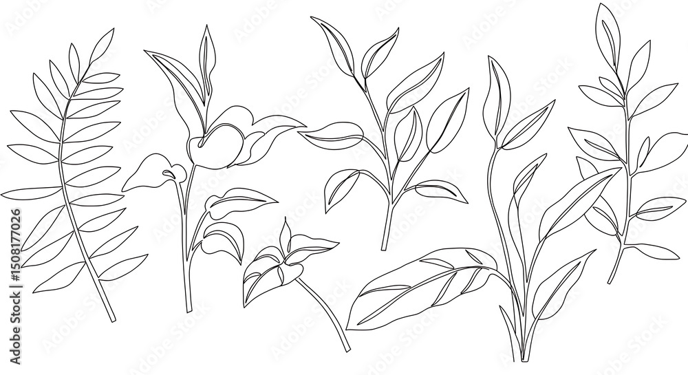 Fototapeta premium Elegant Line Art Botanical Illustrations Leaves Branches Foliage Collection