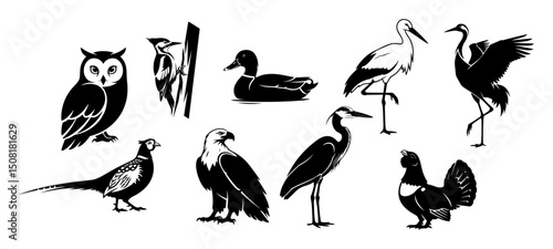 forest birds silhouettes collection vector
