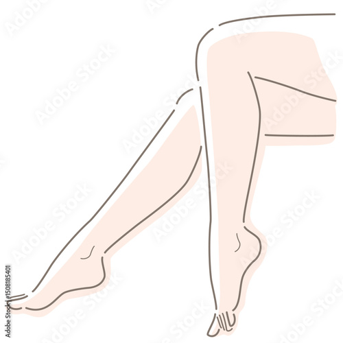 Beautiful, well-groomed female legs. Vector illustration in line drawing, isolated on white background.