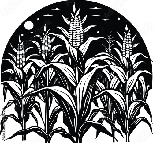 corn field vector
