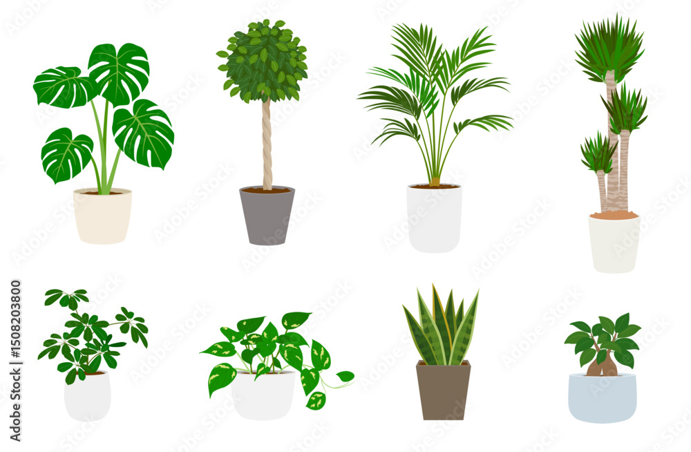 Obraz premium 観葉植物のセット