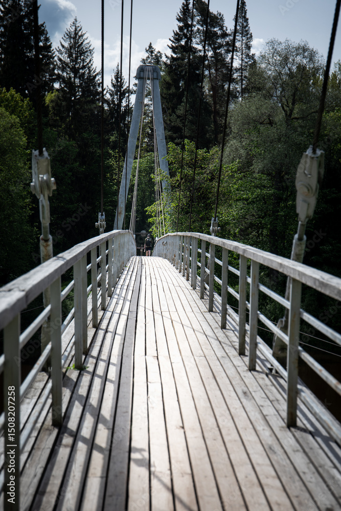 Fototapeta premium Suspension Footbridge in Forest with Wooden Planks and Steel Cables in Natural Light.