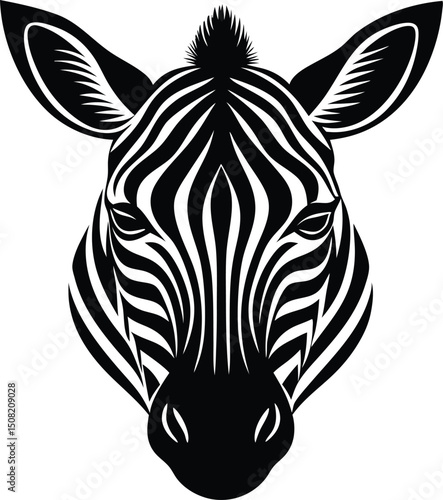 zebra vector illustration