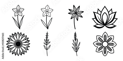 Minimalist botanical flower outline collection with sunflowers, daffodils, lotus and lavender in black linear art style for elegant design projects.