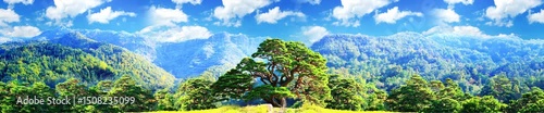 beautiful bansai tree on the background of mountains, looped animation
