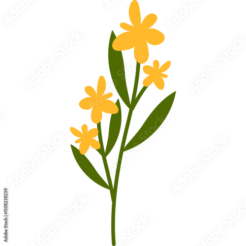 Spring Flower Plant