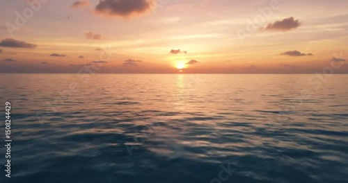 sunset over the sea with birds