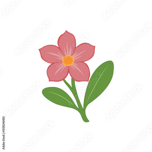 Elegant Pink Flower Illustration Simple Floral Design Element