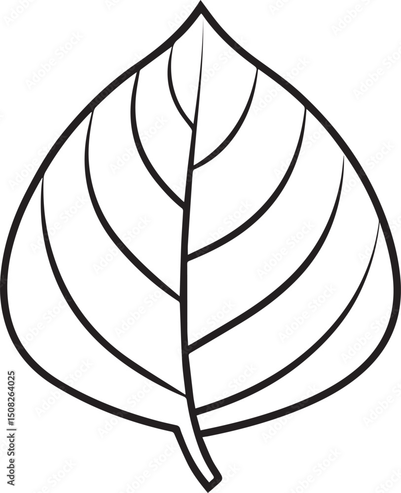 Leaf outline vector illustration line art Leaf outline vector illustration line art