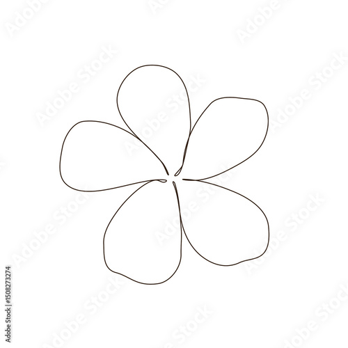 Line art close up of blossom frangipani or plumeria flower head, tropical summer beach. Spa beauty product. simple elegance