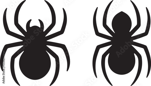Foto spider, spiderweb, arachnid, legs, eightlegs, venom, crawl, insect, predator, sp