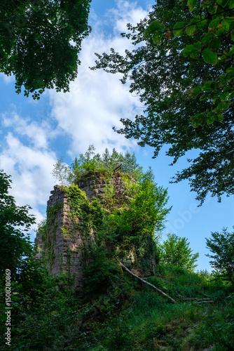 Ruines du château du Freudeneck (Alsace, France) 