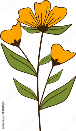 Hand Drawn Flower