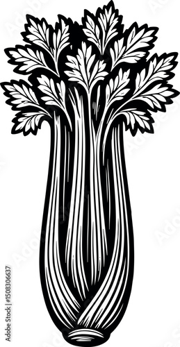 Celery vector black silhouette print design