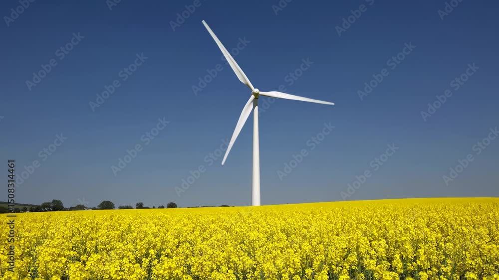 Wind turbine spinning slowly behind vibrant yellow rapeseed field, generating renewable energy under expansive clear blue summer sky with soft countryside backdrop Wind turbine spinning slowly behind vibrant yellow rapeseed field, generating renewable energy under expansive clear blue summer sky with soft countryside backdrop