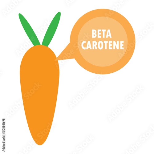 carrot with beta carotene illustration