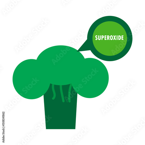 Broccoli with superoxide illustration