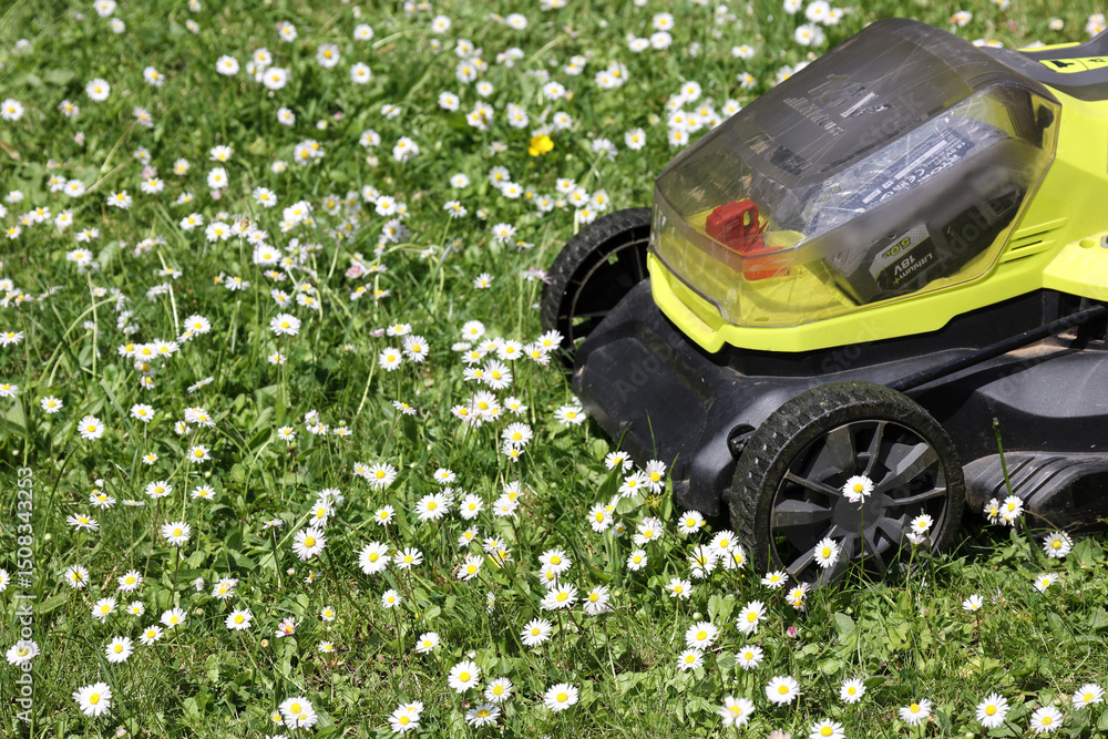 Fototapeta premium A lawn mower is trimming grass while daisies bloom across the vibrant green yard