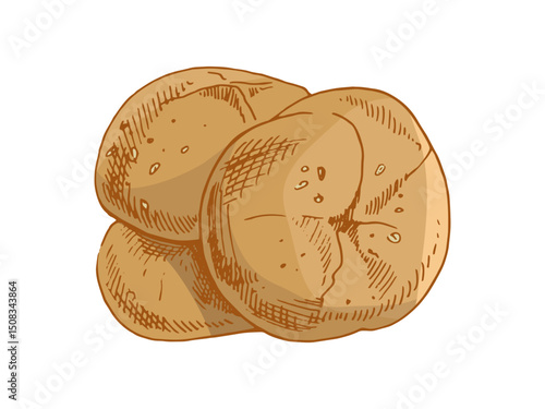 Hand drawn vintage sketch of soft round bread rolls in brown ink style, color and monochrome isolated illustration