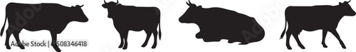 Silhouette of Cattle: A minimalist silhouette showcases a collection of cattle, emphasizing their forms and graceful poise. Capture the quiet elegance of the rural landscape.