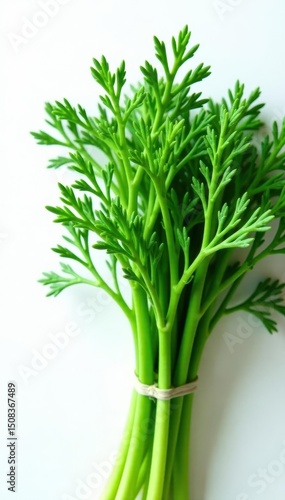 Vibrant green dill, fresh bunch, white background , texture, summer