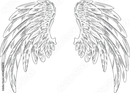Black and white angel wings sketch vector illustration, Symmetrical design.