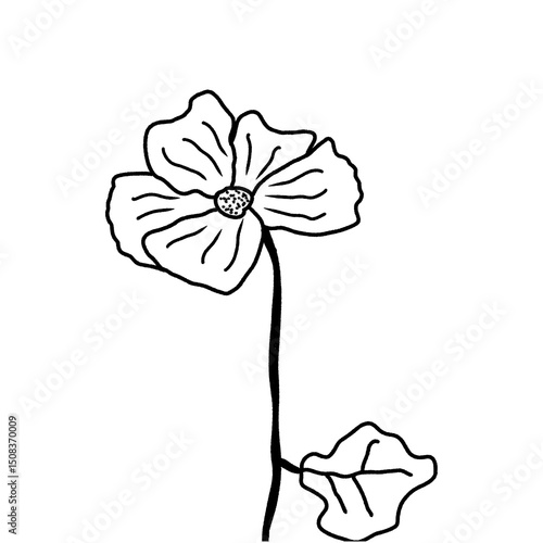 pink flower isolated on white