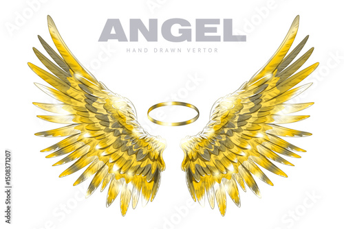 Golden angel wings with ring sketch, pair of heraldic wings bird winged feathers with nimbus vector love shiny symbol