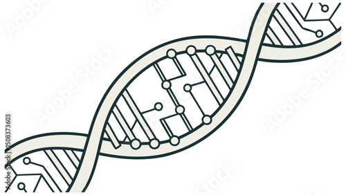 Vector illustration of a DNA strand showing detailed helix structure integrated with digital connections