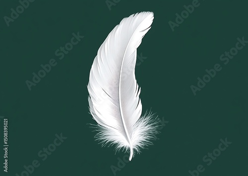 White feather on dark background