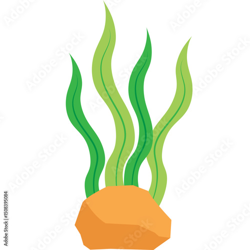 Seaweed Illustration