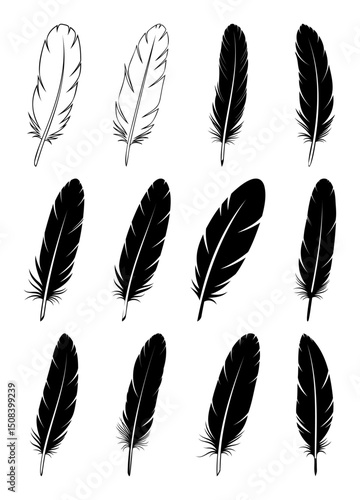 Black fluffy feather. Hand drawing vintage art realistic quill feathers for pen detailed isolated vector elegant silhouette sketch bird plume set