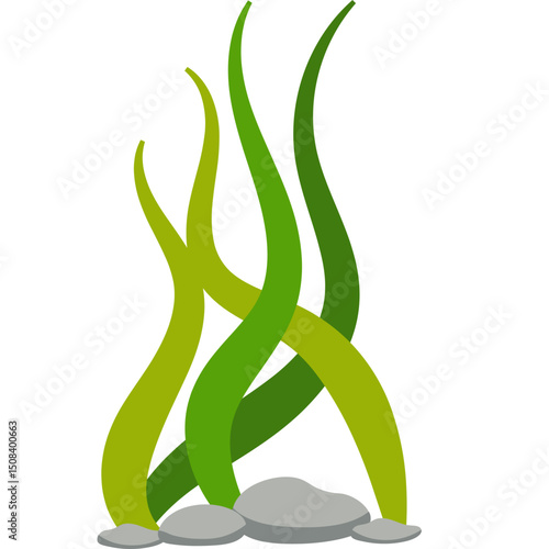 Seaweed Illustration