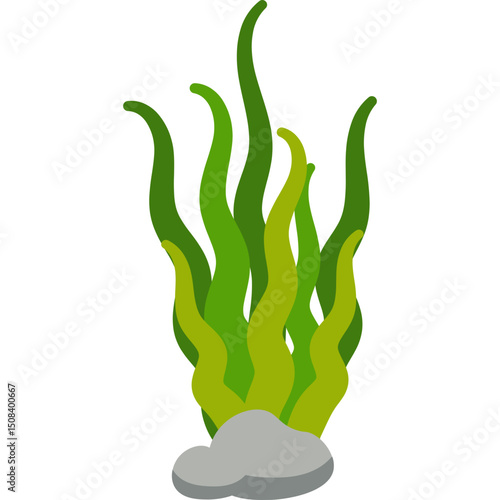 Seaweed Illustration