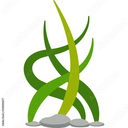 Seaweed Illustration