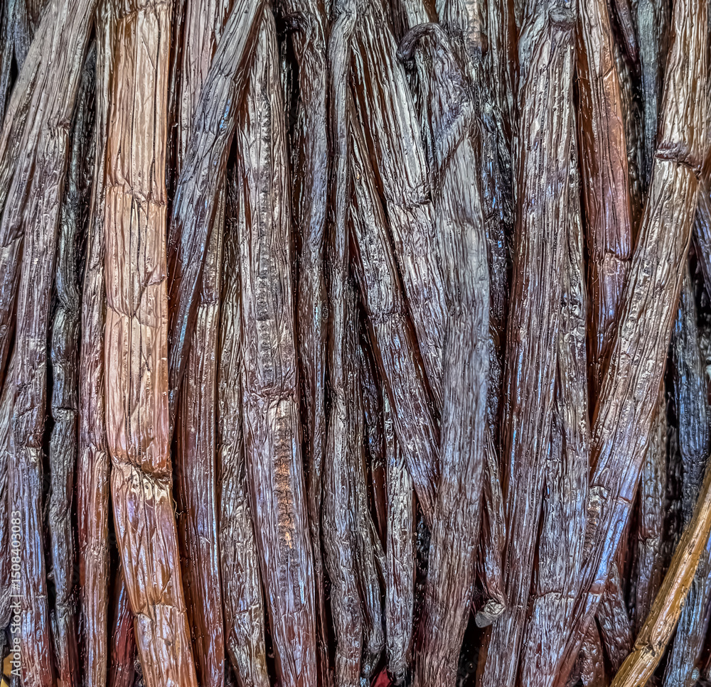 Obraz premium Gousses de vanille 